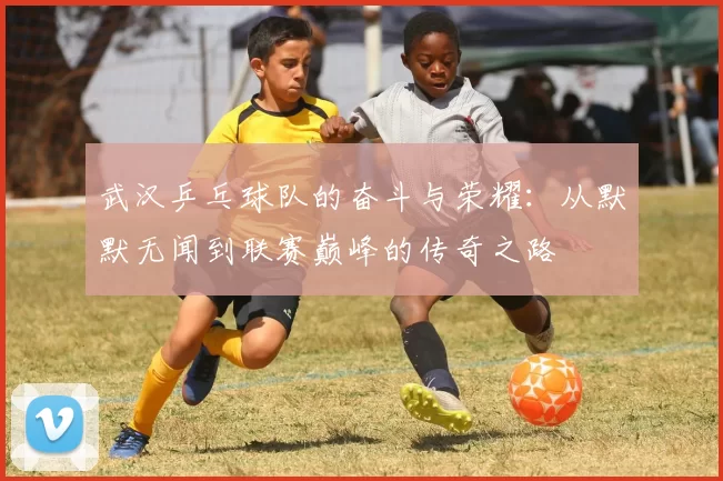 武汉乒乓球队的奋斗与荣耀：从默默无闻到联赛巅峰的传奇之路